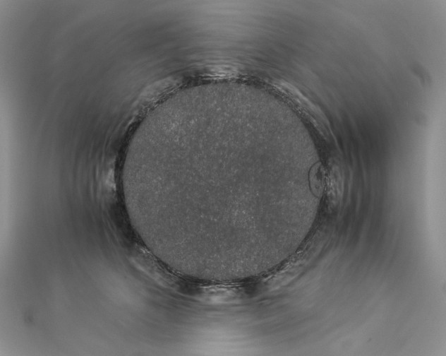 X0000112880516200909041644