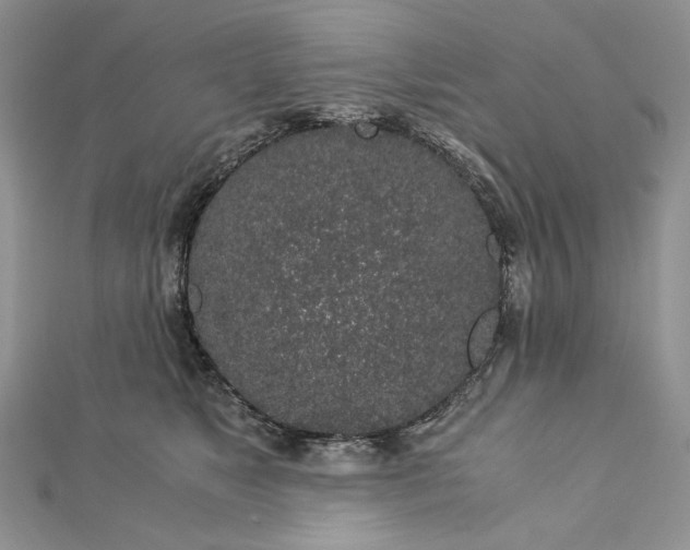 X0000112880517200909041644