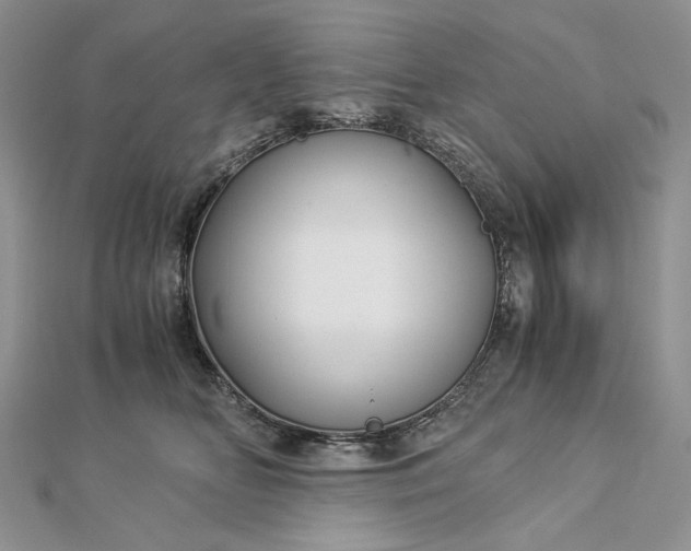 X0000112880518200909041644