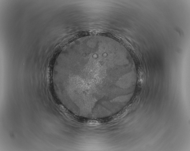 X0000112880519200909041644