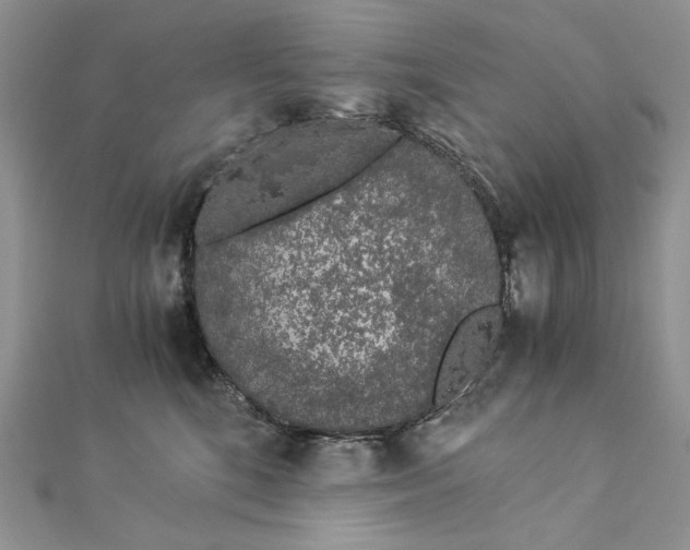 X0000112880520200909041644