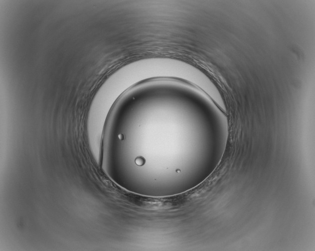 X0000112880521200909041644