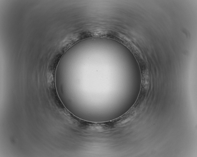 X0000112880523200909041644