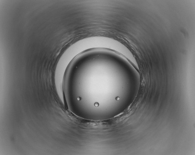 X0000112880524200909041644