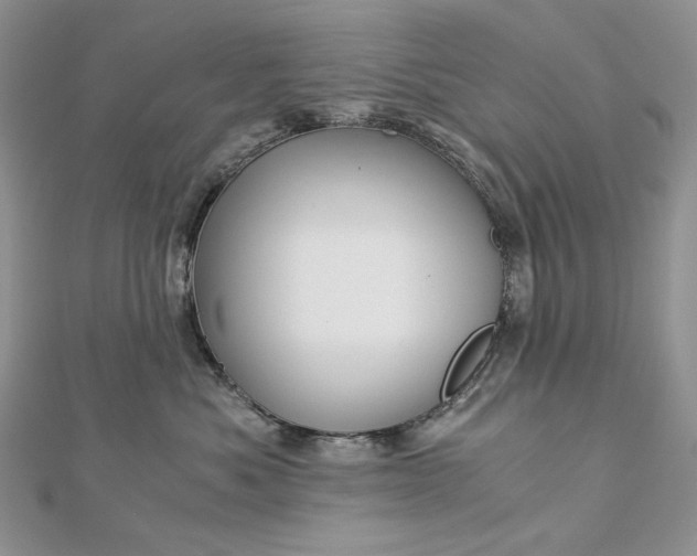 X0000112880525200909041644