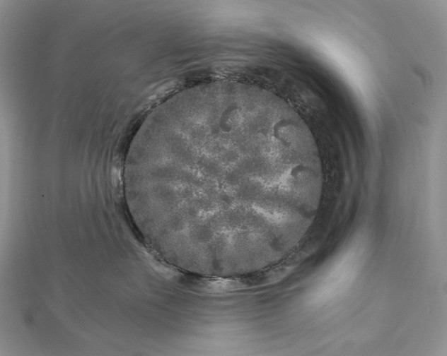 X0000112880527200909041644