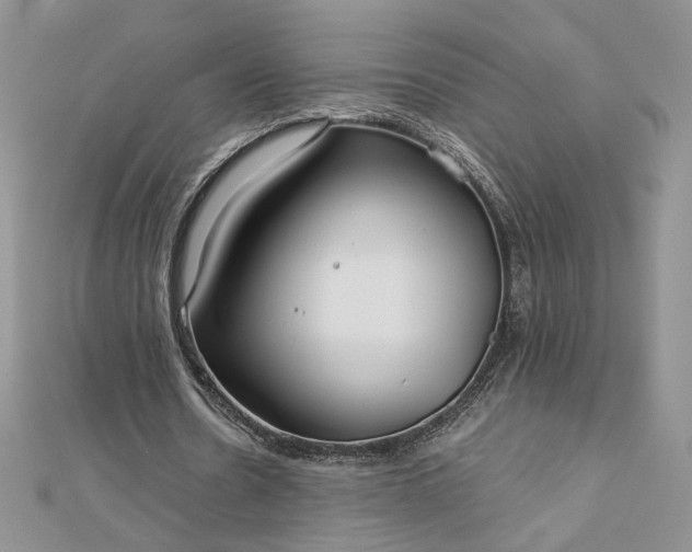 X0000112880530200909041643