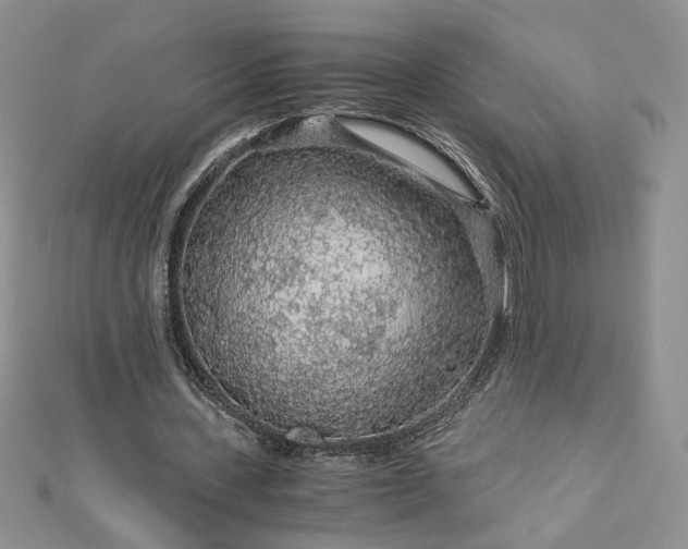 X0000112880531200909041643