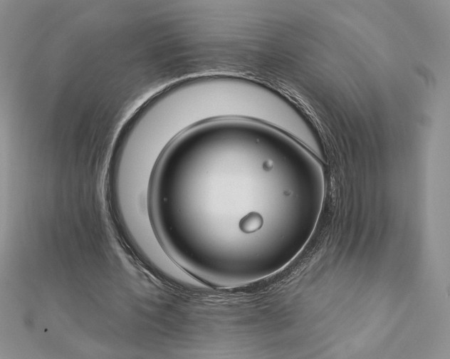 X0000112880532200909041643