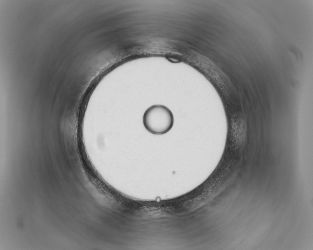 X0000112880534200909041643