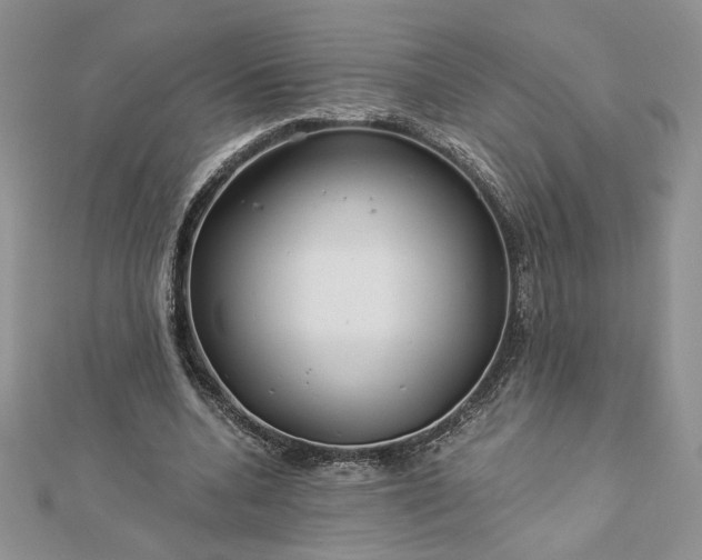 X0000112880536200909041643