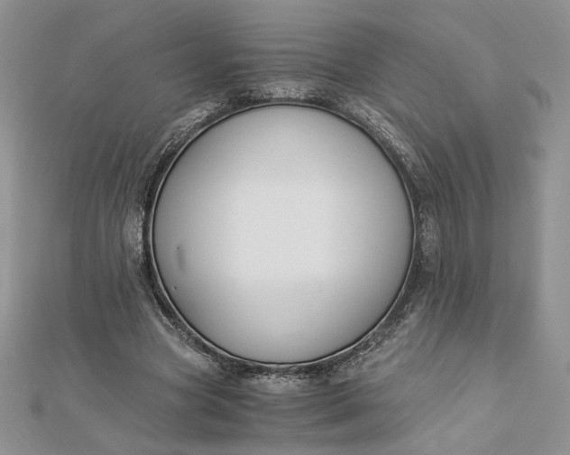 X0000112880537200909041643