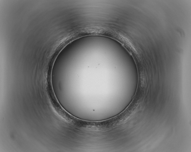 X0000112880538200909041643