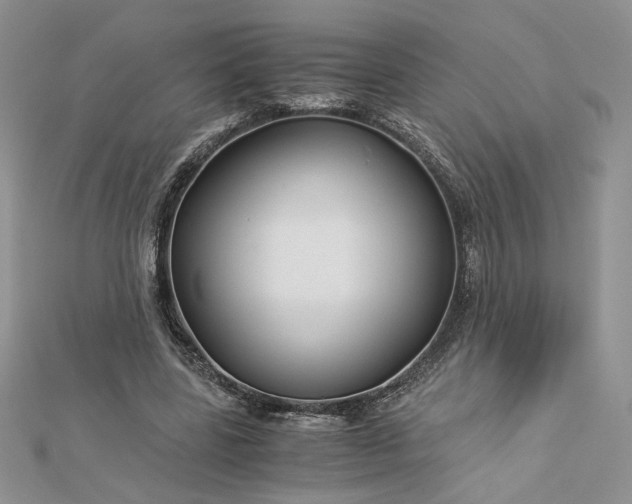 X0000112880539200909041643