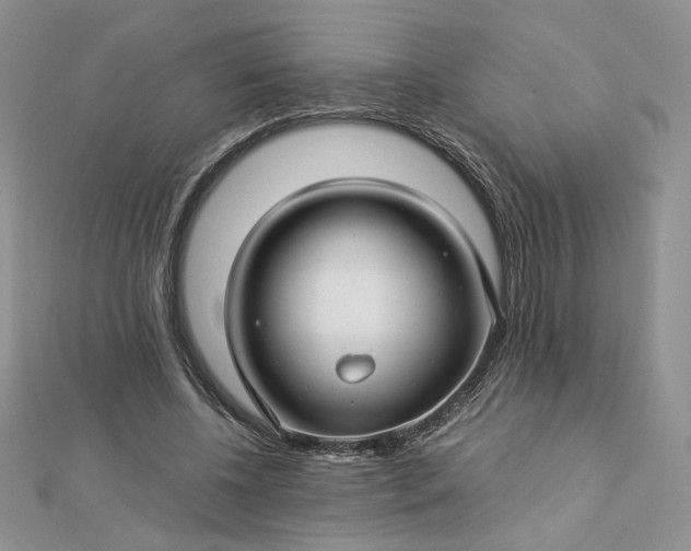 X0000112880540200909041643