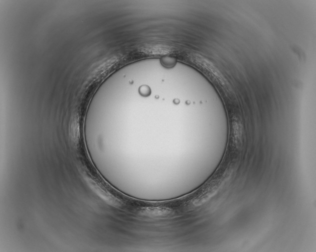 X0000112880541200909041643