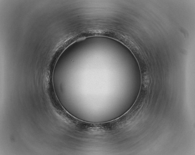 X0000112880544200909041643