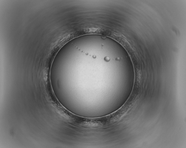 X0000112880545200909041643