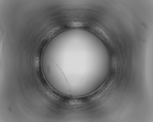 X0000112880549200909041643