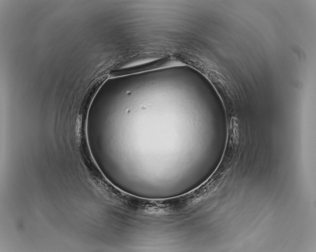 X0000112880550200909041643