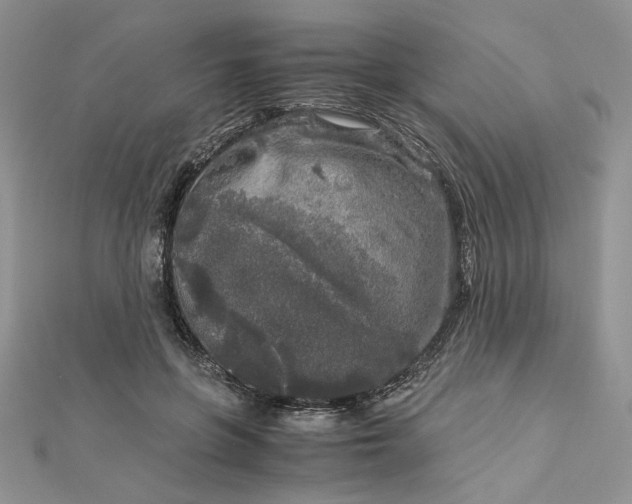 X0000112880551200909041643