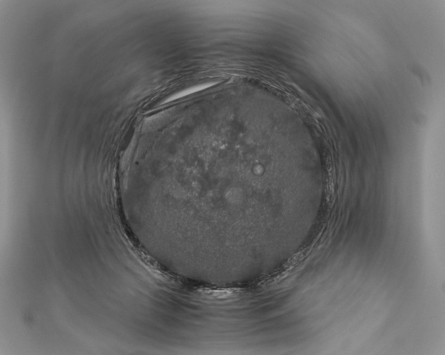 X0000112880553200909041643