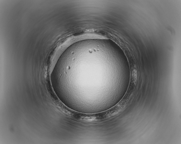 X0000112880554200909041643