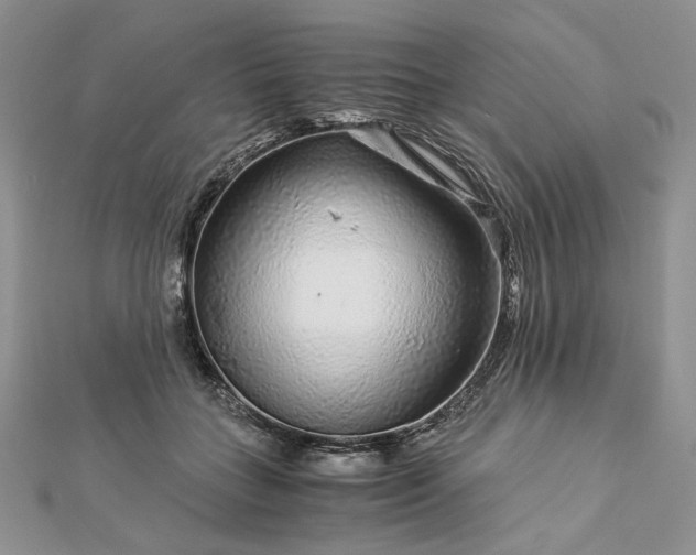 X0000112880555200909041643