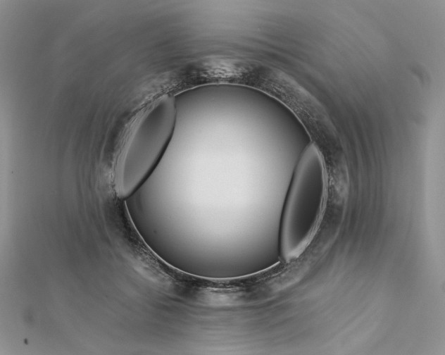 X0000112880556200909041643