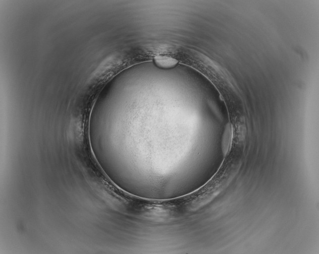 X0000112880558200909041643