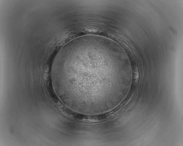 X0000112880559200909041643