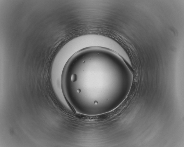 X0000112880560200909041643