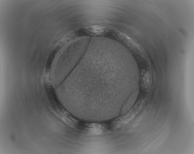 X0000112880562200909041643