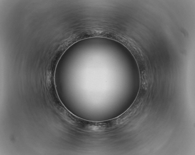 X0000112880563200909041643