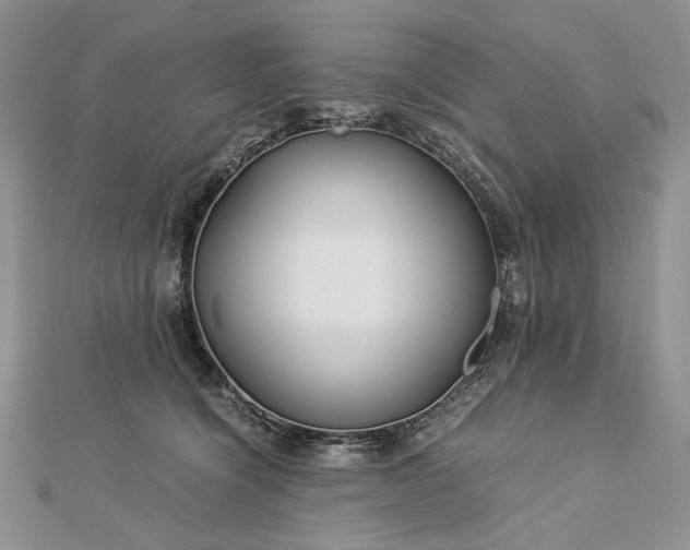 X0000112880564200909041643