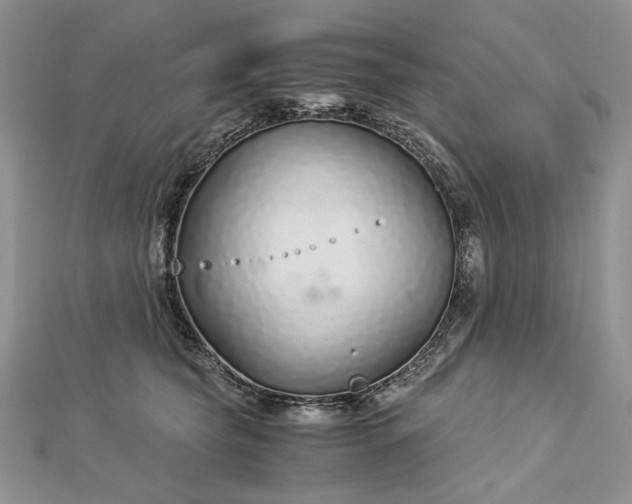 X0000112880565200909041643