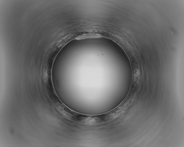 X0000112880566200909041643