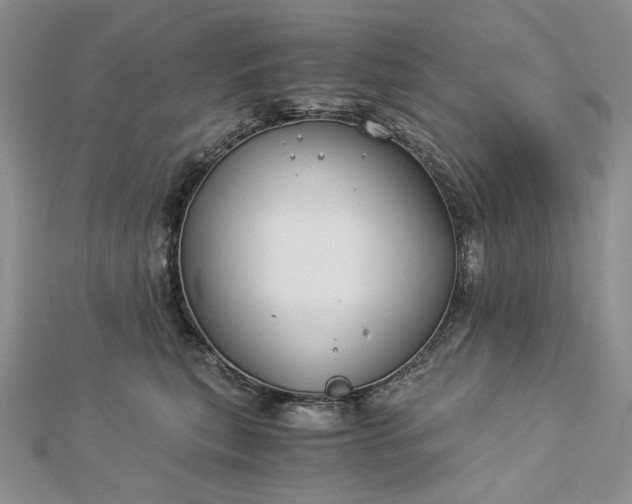 X0000112880567200909041643