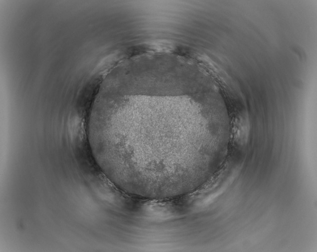 X0000112880568200909041643