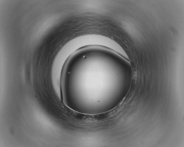 X0000112880572200909041644