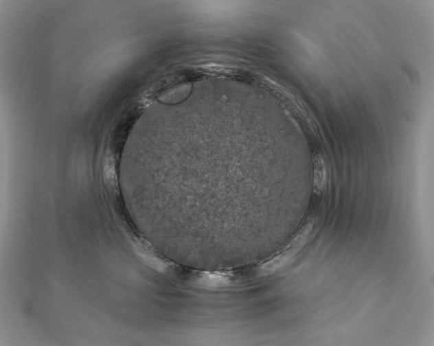 X0000112880573200909041644