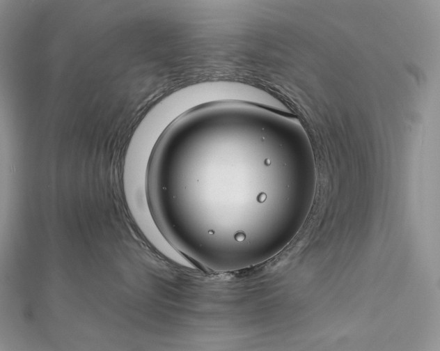 X0000112880576200909041644