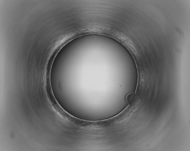 X0000112880578200909041643