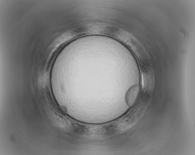 X0000112880579200909041643