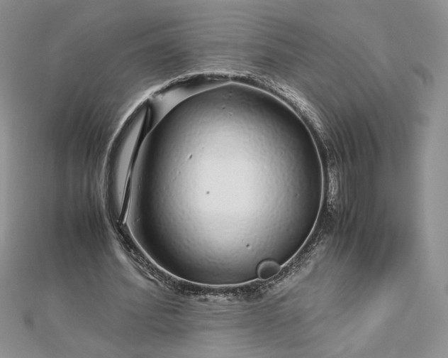 X0000112880580200909041643