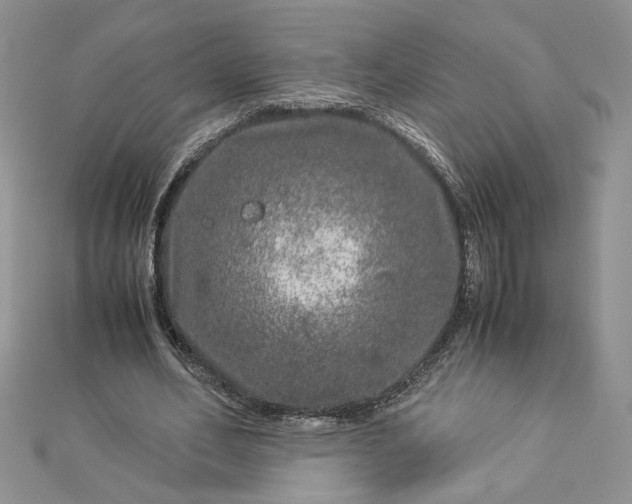 X0000112880582200909041643