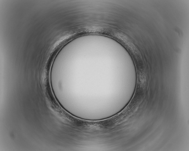 X0000112880583200909041643