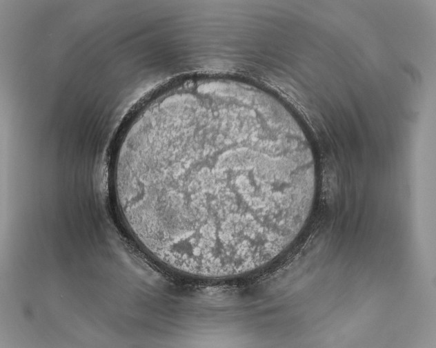 X0000112880584200909041643