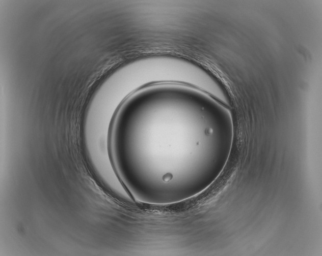 X0000112880585200909041643