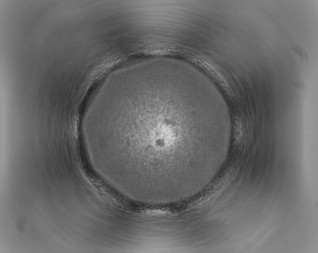 X0000112880586200909041643